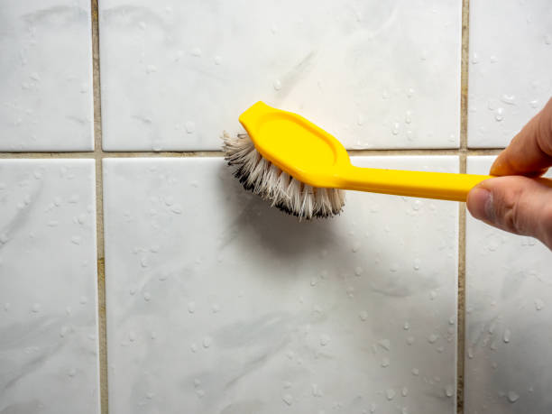 Best Mold Remediation for Schools in Fair Oaks, VA