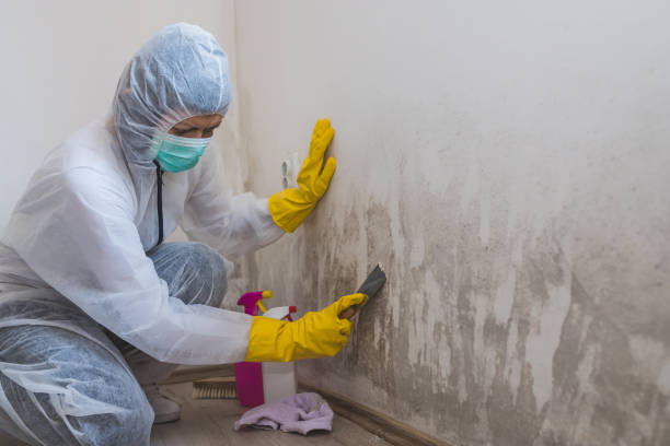 Fair Oaks, VA Mold Remediation Company
