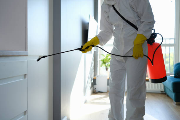 Best Post-Flood Mold Remediation in Fair Oaks, VA