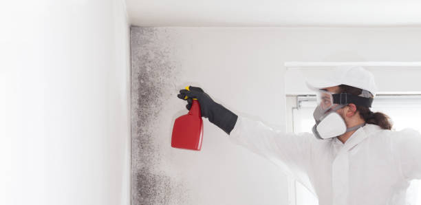 Best Health and Safety Mold Remediation in Fair Oaks, VA