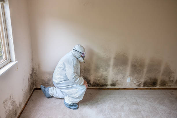 Best Industrial Mold Remediation in Fair Oaks, VA